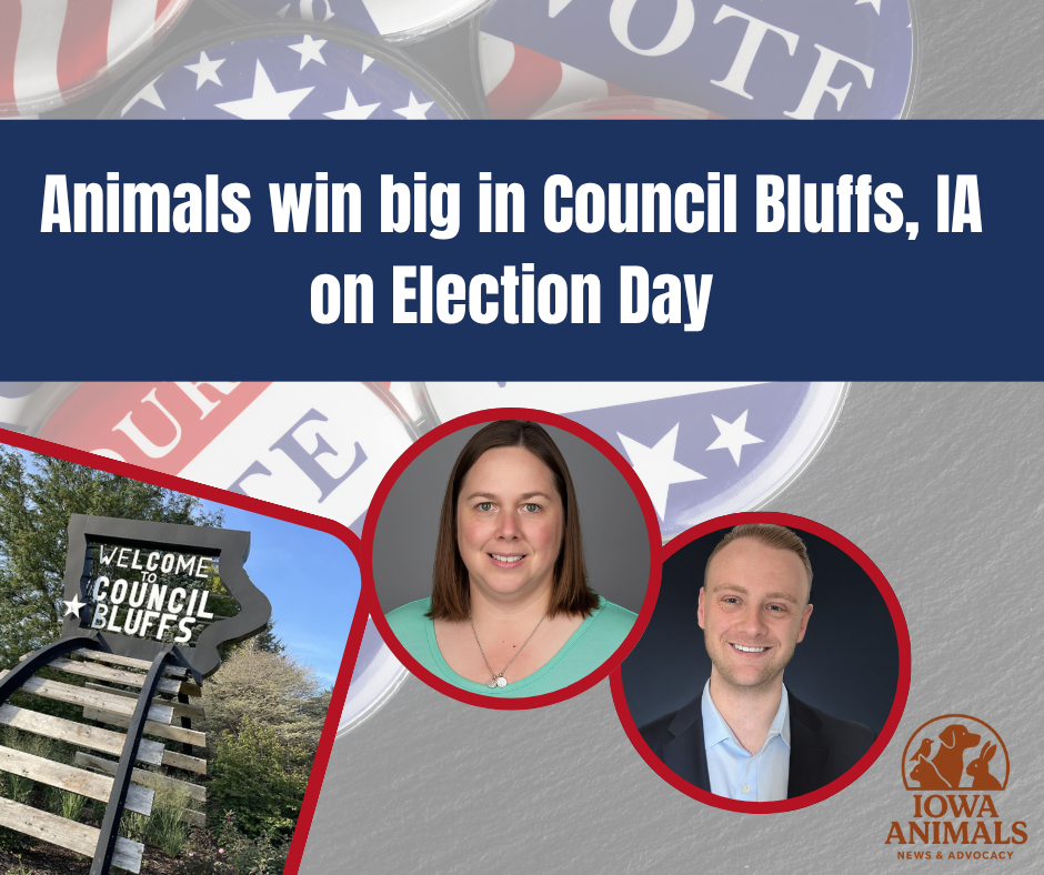 Animals Won Big in Council Bluffs on Election Day